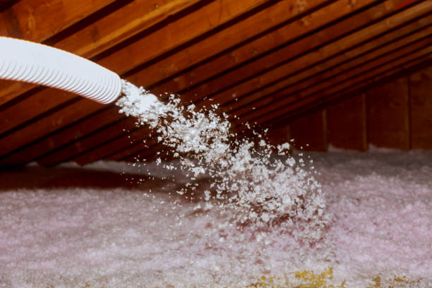 Best Insulation Maintenance and Repair in Deforest, WI