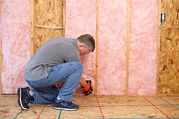 Best Insulation Maintenance and Repair in Deforest, WI
